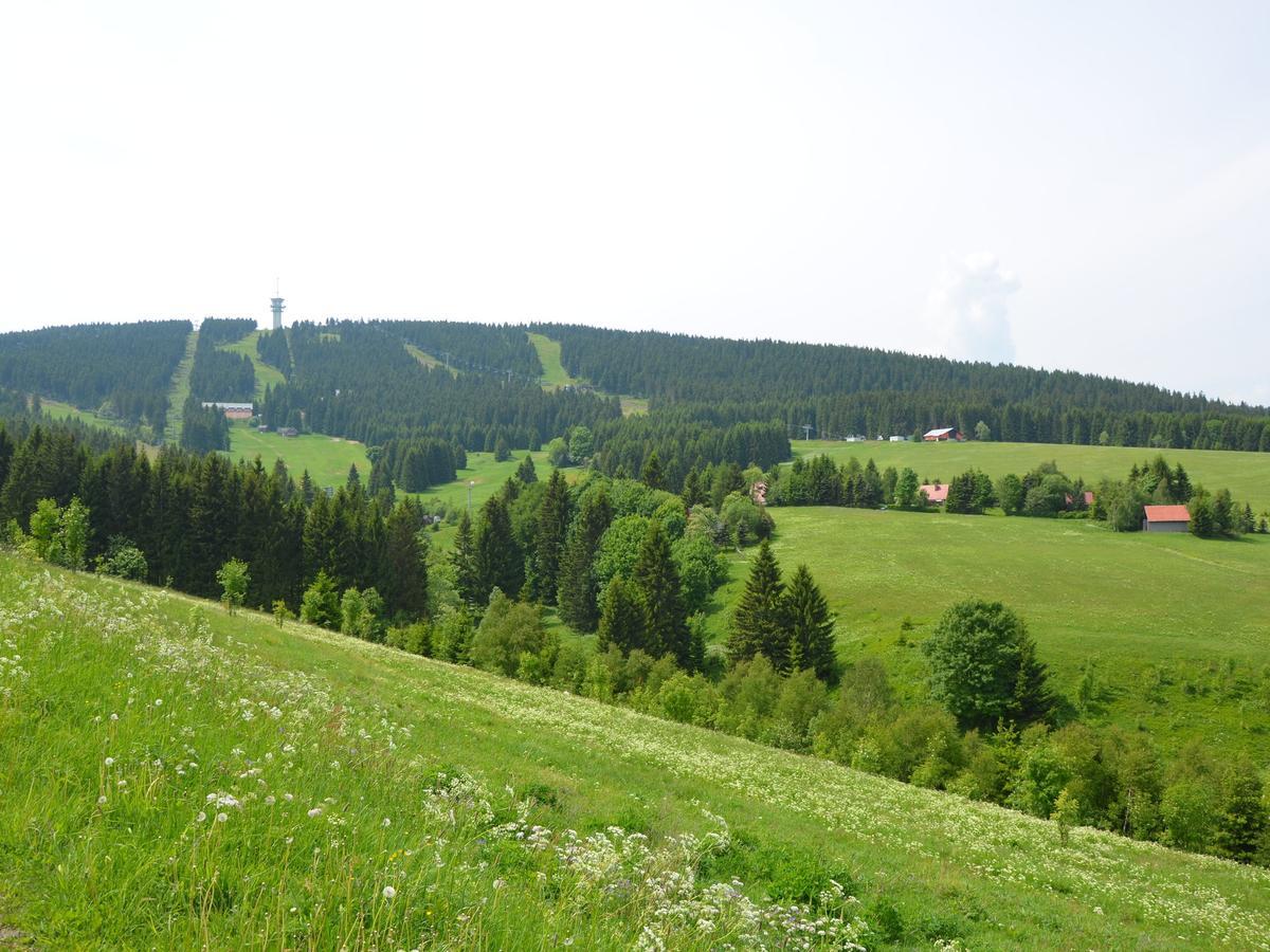 Nice Holiday Home In The Ore Mountains Only 500M From The Chairlift Loučná pod Klínovcem Εξωτερικό φωτογραφία
